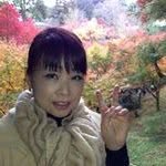 Kazue Hashimoto - @hashimotokazue - Instagram