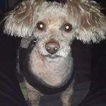Kc Carlson - @carlson.kc - Instagram