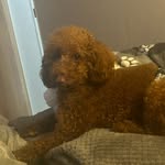 Kc - @k.c_collins - Instagram