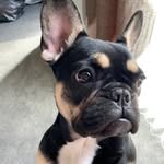 KC : ‘Young At Heart No. 9’ - @darcy_frenchy - Instagram