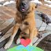 KDee Bono - Facebook
