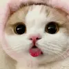 kechen - @kechen37 - TikTok