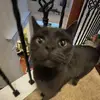 keagan - @keaganhall587 - TikTok