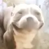Keanuguzman15 - @keanuguzman15 - TikTok