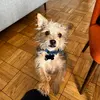 Keanu - @keanu.james - TikTok