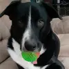 tamrabarneskeaton - @tamrabarneskeaton - TikTok