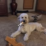 Keaton Cooper - @keaton_cooper312 - Instagram