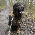 Keaton Hall - @keaton_hall29 - Instagram