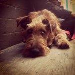 Keaton Henson Williams - @misterdavidwilliams - Instagram