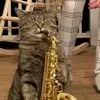 ✝️🎻Keaton🎻✝️ - @keaton.howard2 - TikTok