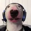 keatonlang0 - @keatonlang0 - TikTok