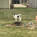Keatonlang - @keatonlangreal - Instagram