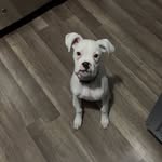 Keaton Mitchell - @littleman_1201 - Instagram