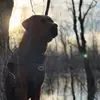 Keaton morgan - @keaton.morgan2 - TikTok