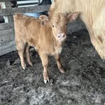 Kydyn Mueller - Facebook