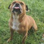 Keaton Murphy - Facebook