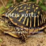 Max, Keaton, Owen, and William - @shellhotel_okc - Instagram
