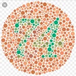 @keaton_perkins_spams - Instagram