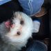 Keaton Wilson - Facebook