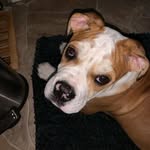 Keaton Wilson - @keaton.wilson.7921 - Instagram
