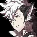 Keaton - @keaton_teufelchens_wolf - Instagram