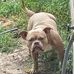 Kedrick Green - Facebook