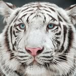 kedrick green-conner - @kedrickgreenconner - Instagram