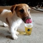 Joe Keefe - @keefebrowns32 - Instagram