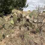 Keegan Cook - @keegan.cook.564 - Instagram