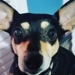 Keegan Goodwin - @keegan.goodwin.54 - Instagram