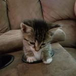 Keegan Gray - @keegan.gray.507 - Instagram