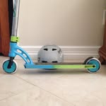 Keegan Hill - @keeganscoot.us - Instagram