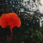 Keegan - @keegan_joyce23 - Instagram
