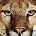 Keegan Manning - @mountin_lion - Instagram