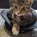 Keegan Norris - Facebook