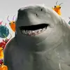 keeganphillips248 - @keeganphillips248 - TikTok