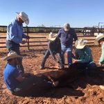 Keegan Thomas - @ktdoublearrowequine - Instagram