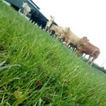 keelan ryan - @keelan_ryan - Instagram