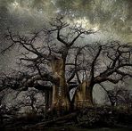 Keelan Walker - Facebook