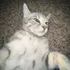 KeeleyBall - @keeley_ball - TikTok