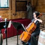 Becky Keeley Cello - @beckykeeley - Instagram