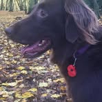 Keeley Carr - Facebook