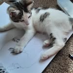 Keeley Clements - @idklol090822 - Instagram