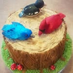 Keeley Collins - @thekeeleycakes - Instagram