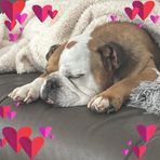 Keeley Evans - Facebook