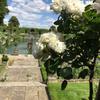 keeley Farley - @keeley215005 - TikTok
