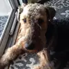 keeleygould77 - @keeleygould77 - TikTok