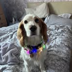 Keeley Green - Facebook
