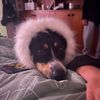 keeley.hardingham - @keeley.hardingham - TikTok