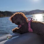 Keeley - @keeley_jones - Instagram